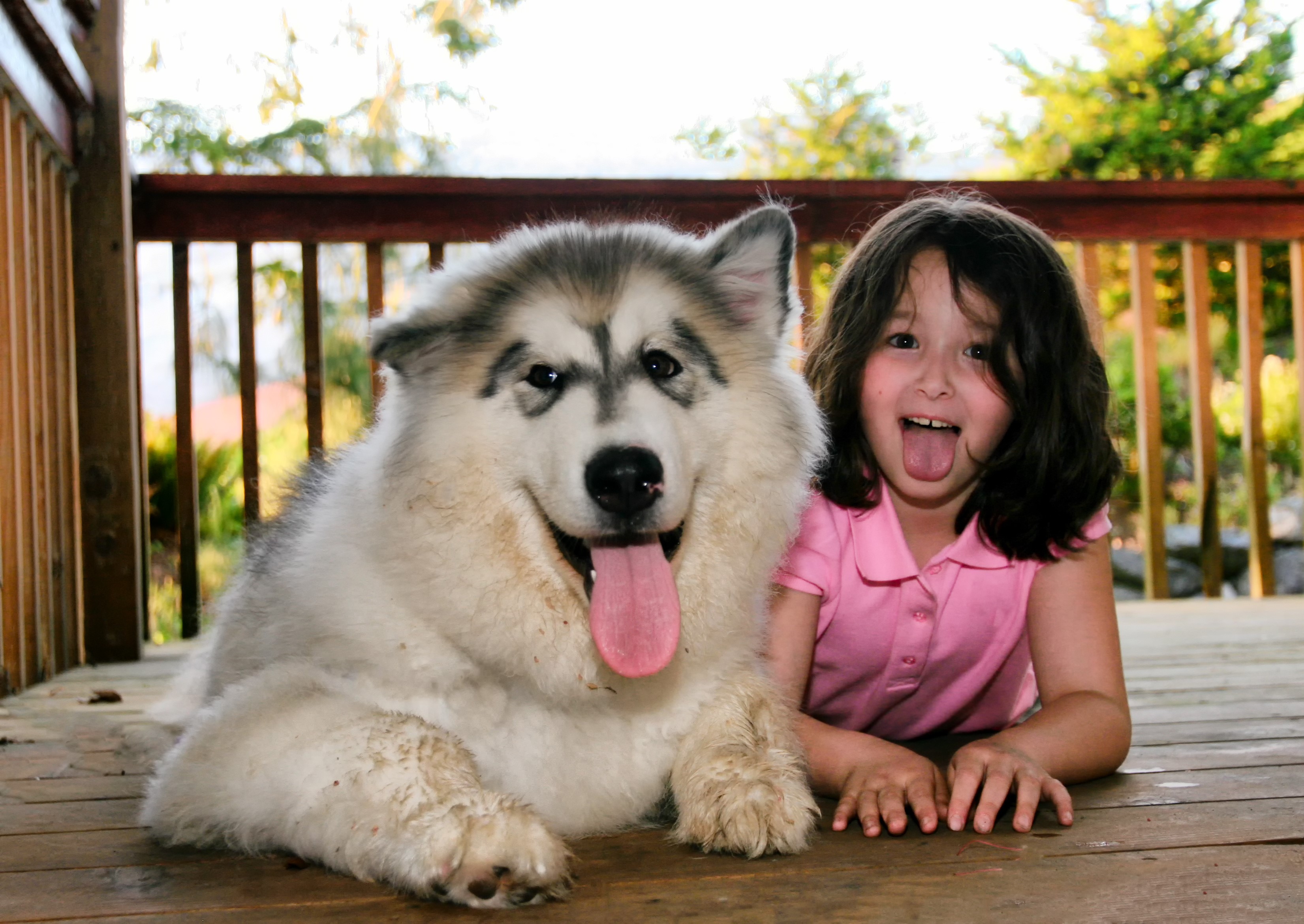 Husky and little kid hanging out on a deck